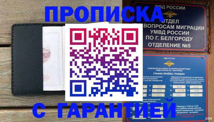 временная регистрация для всех в Михайловке